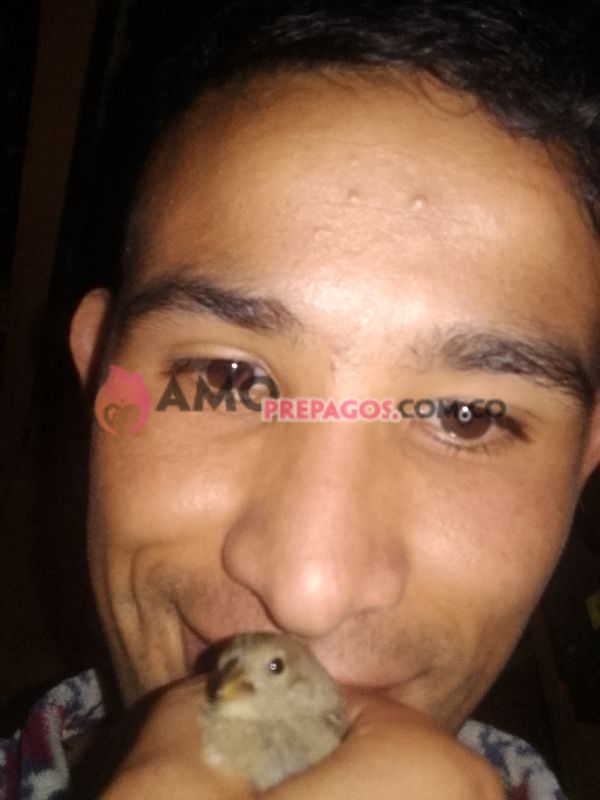 Foto de perfil de Fernando- AMOprepagos